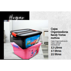 Cajas Organizadoras Kendy...